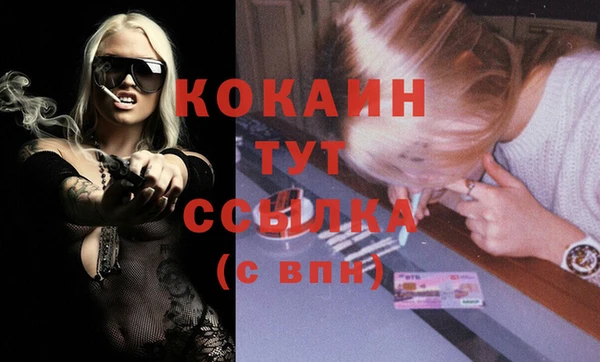 стаф Белокуриха
