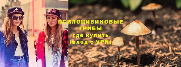 стаф Белокуриха