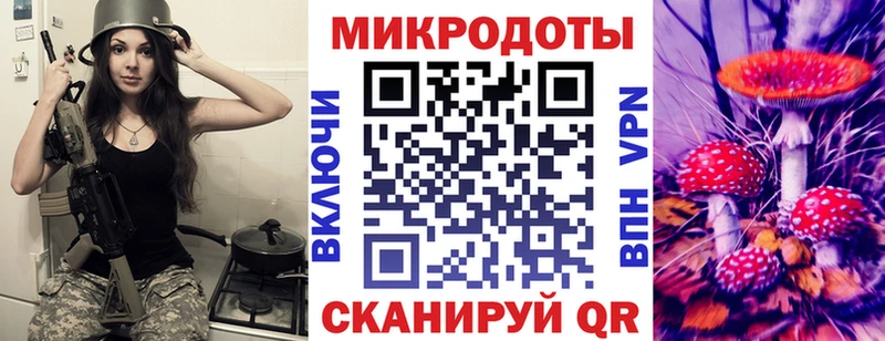 мориарти телеграм Шадринск Псилоцибиновые грибы Psilocybine cubensis